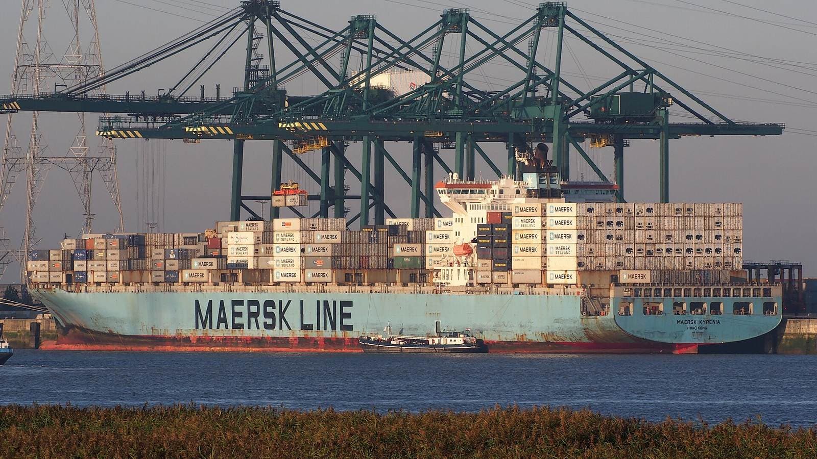 Maersk Kyrenia (ship, 2001), Deurganckdok, Port of Antwerp, Belgium. File photograph.