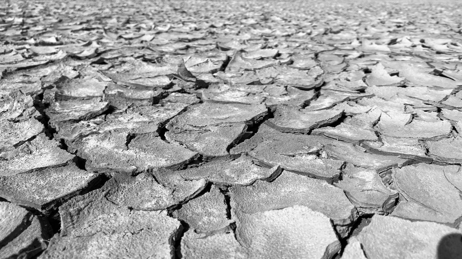 Cracked ground texture. File photograph.
