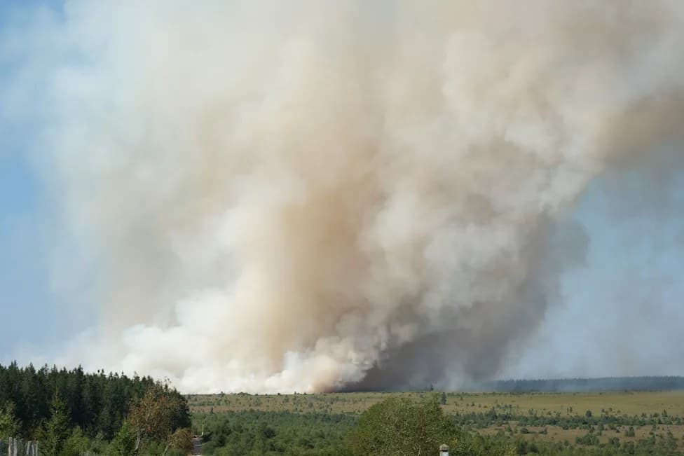 Thick smoke rising from a wildfire burning across open moorland and forest in the Hautes Fagnes