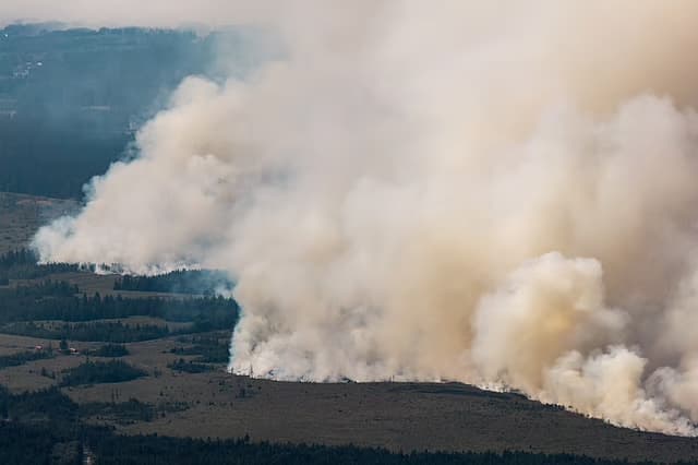 Thick plumes of smoke rising from a wildfire spreading across forest and open land